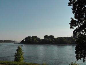 Rheinbogen bei Benrath 