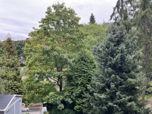 Blick in den Innenhof