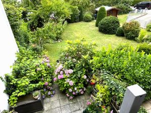 Blick in den Garten